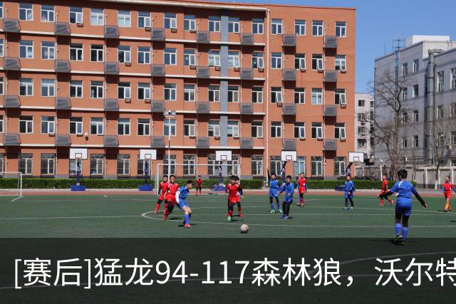 [赛后]猛龙94-117森林狼，沃尔特22分4板2助，鲍尔15分8助2断